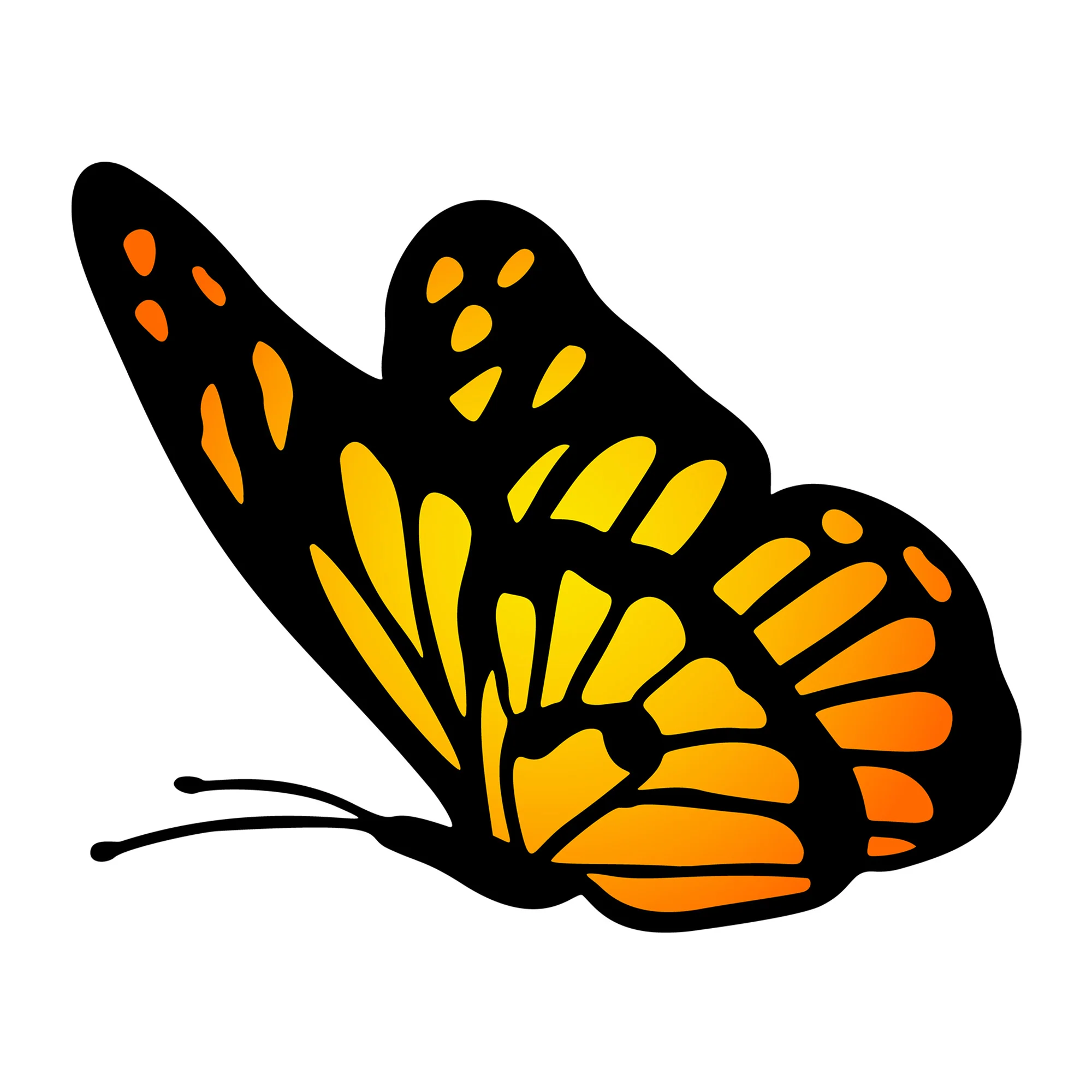 Butterfly SVG