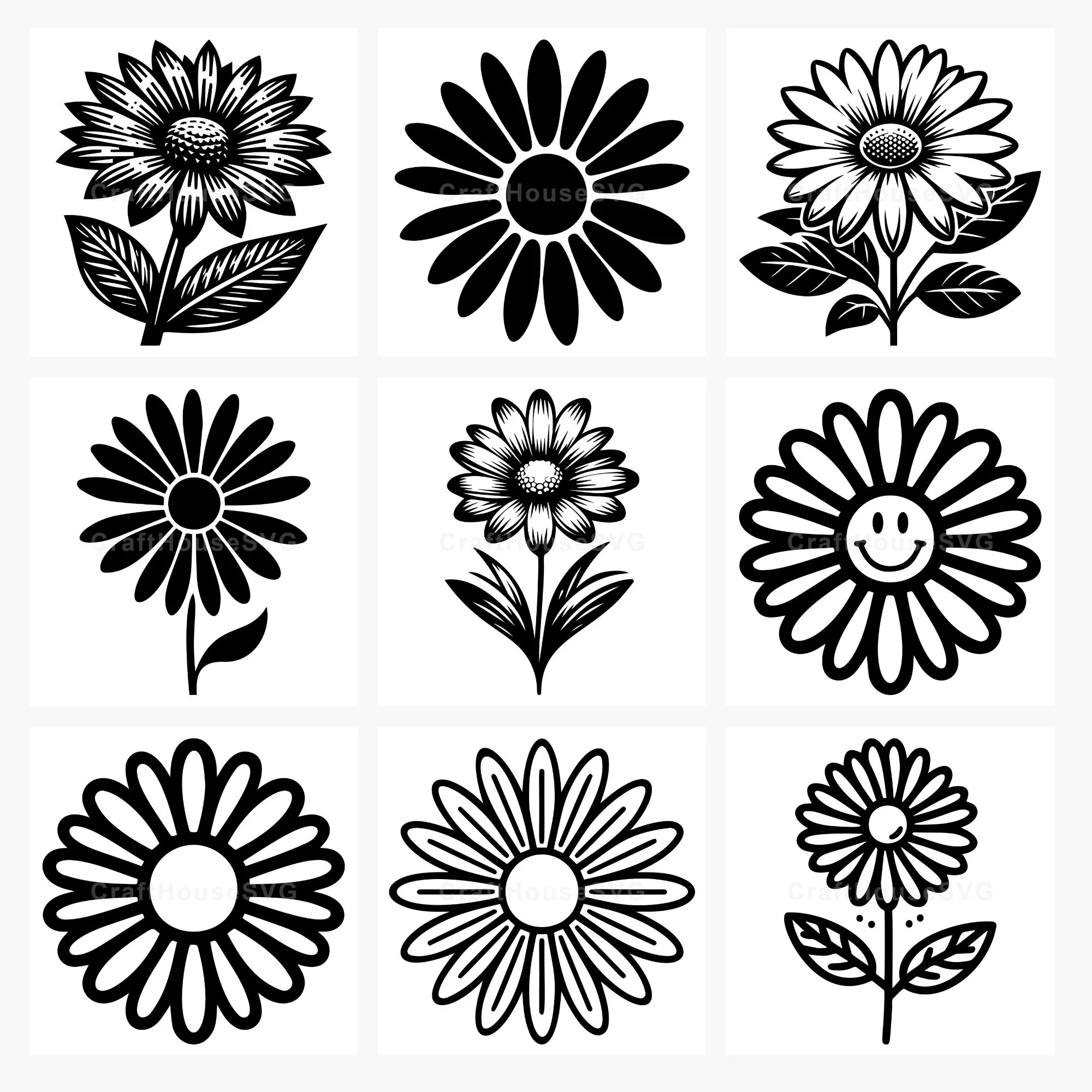 Daisy SVG Bundle - Image 4