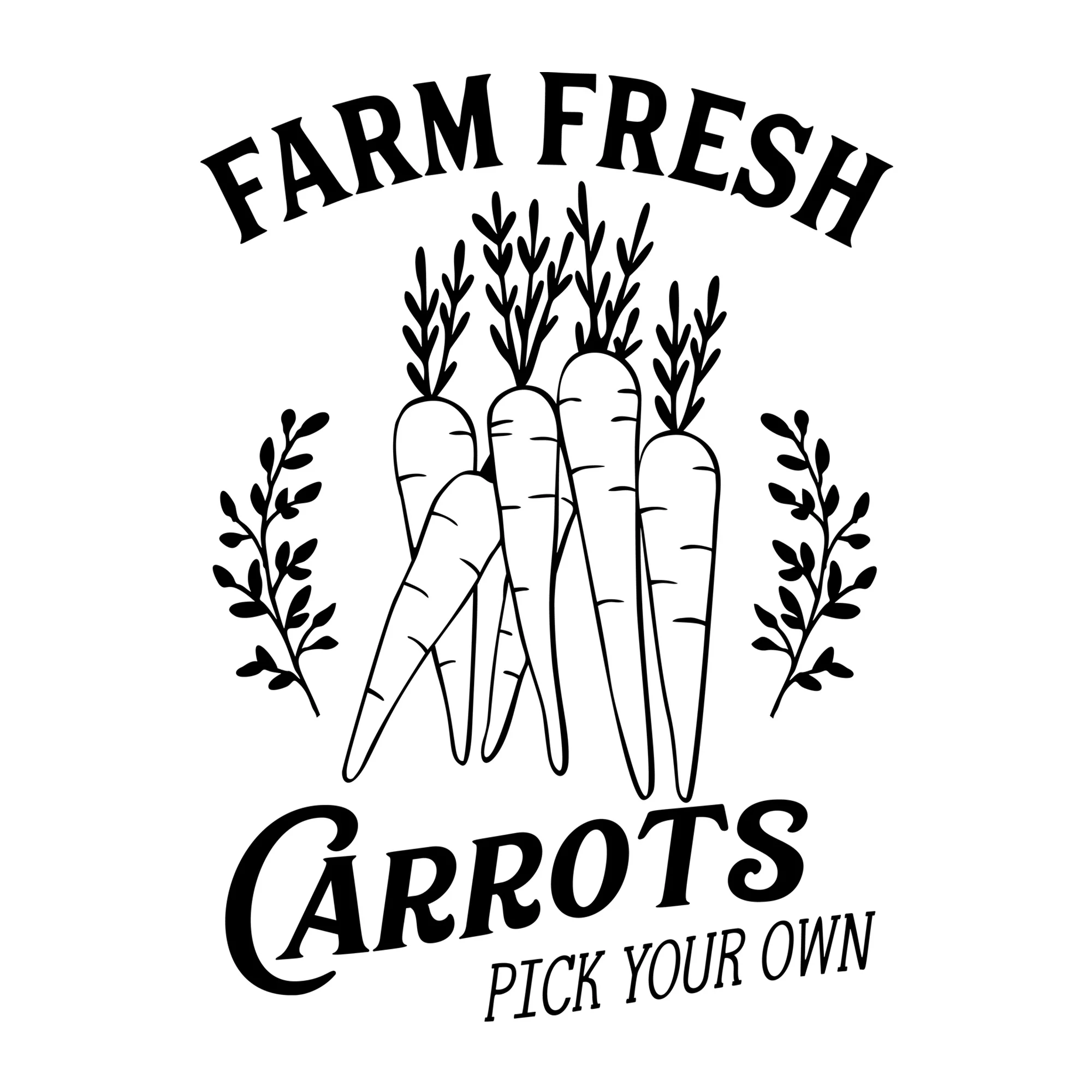 Farm Fresh Carrots SVG