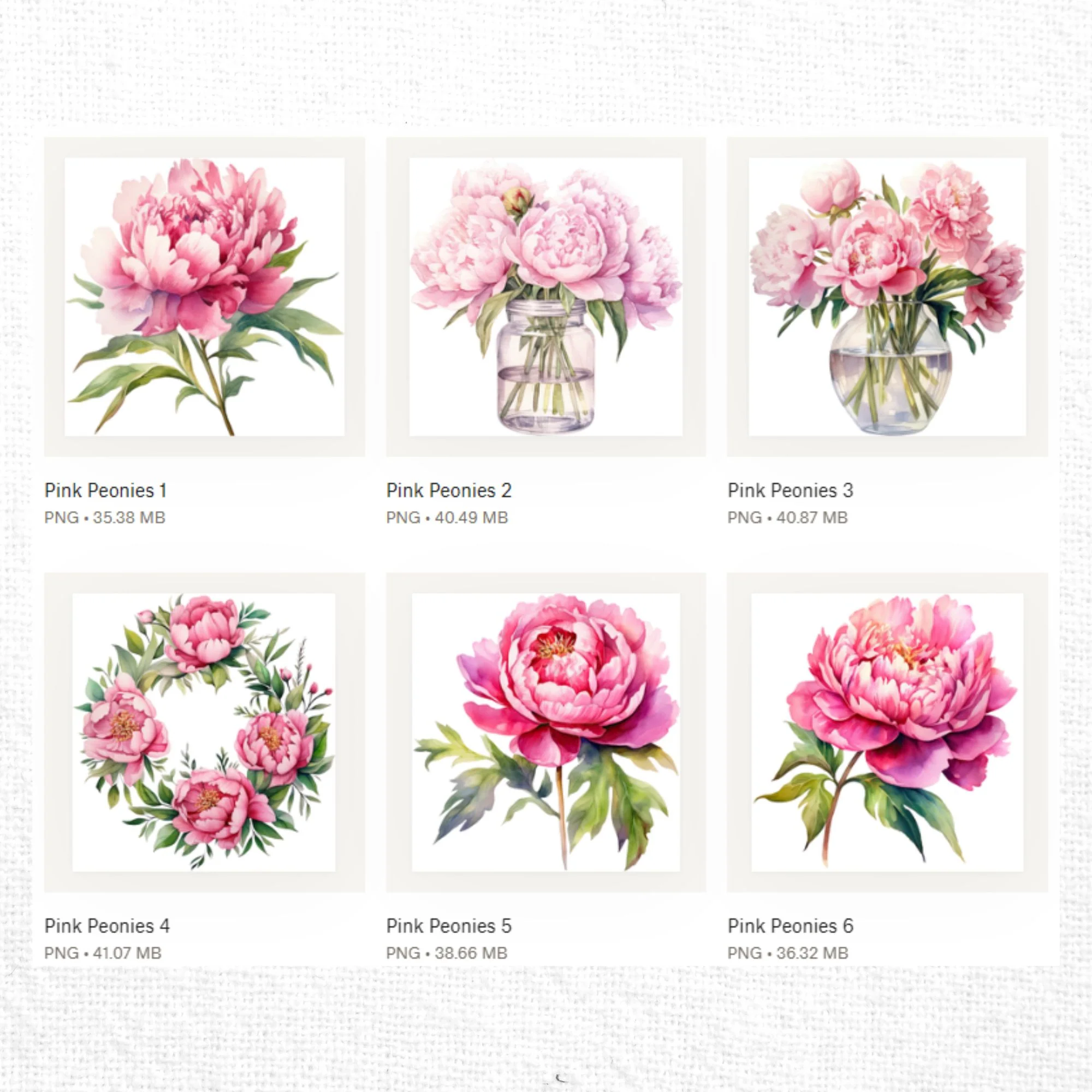 Pink Peony Clipart Sublimation Bundle - Image 3
