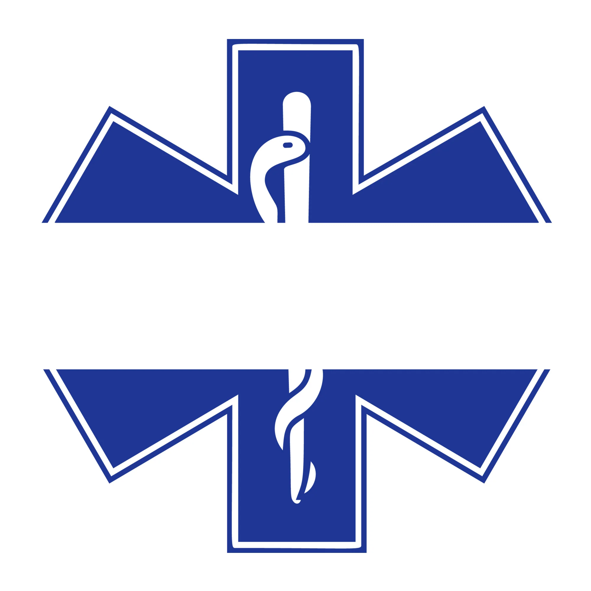 Star Of Life Monogram SVG