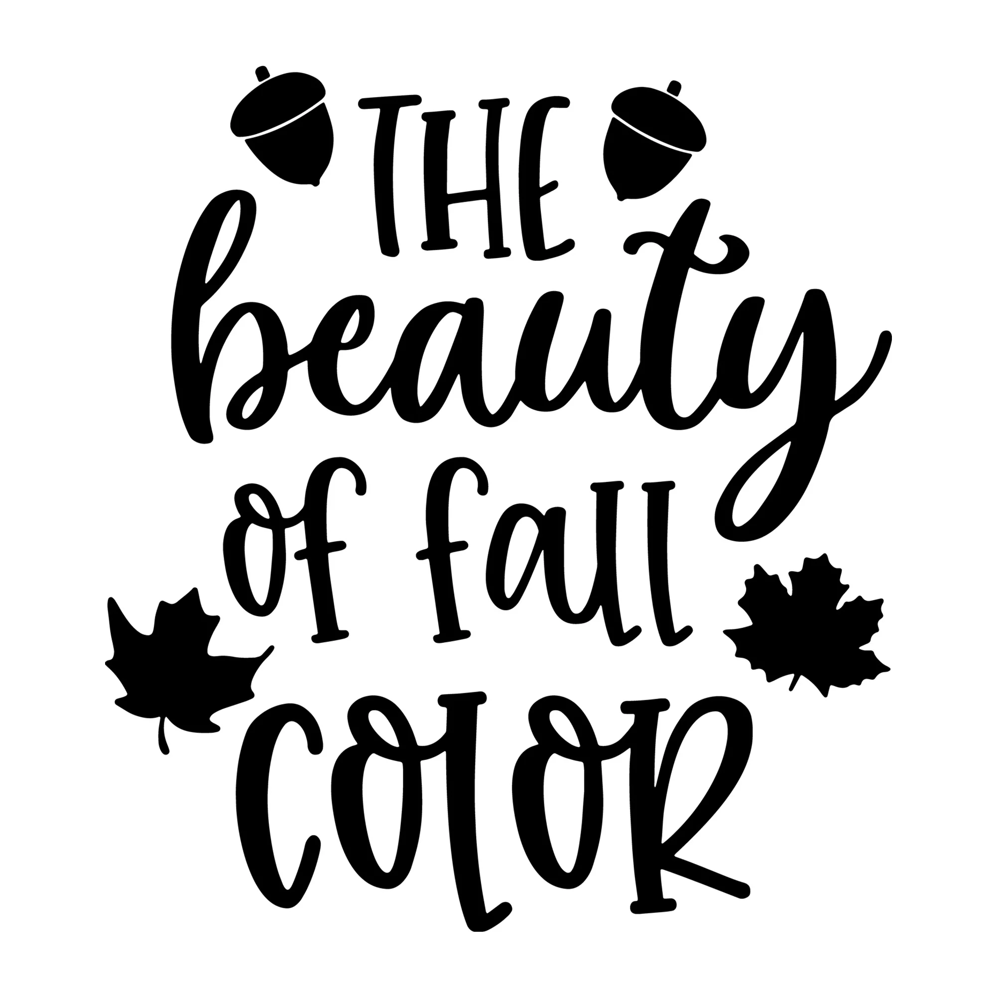 The Beauty of Fall Color SVG