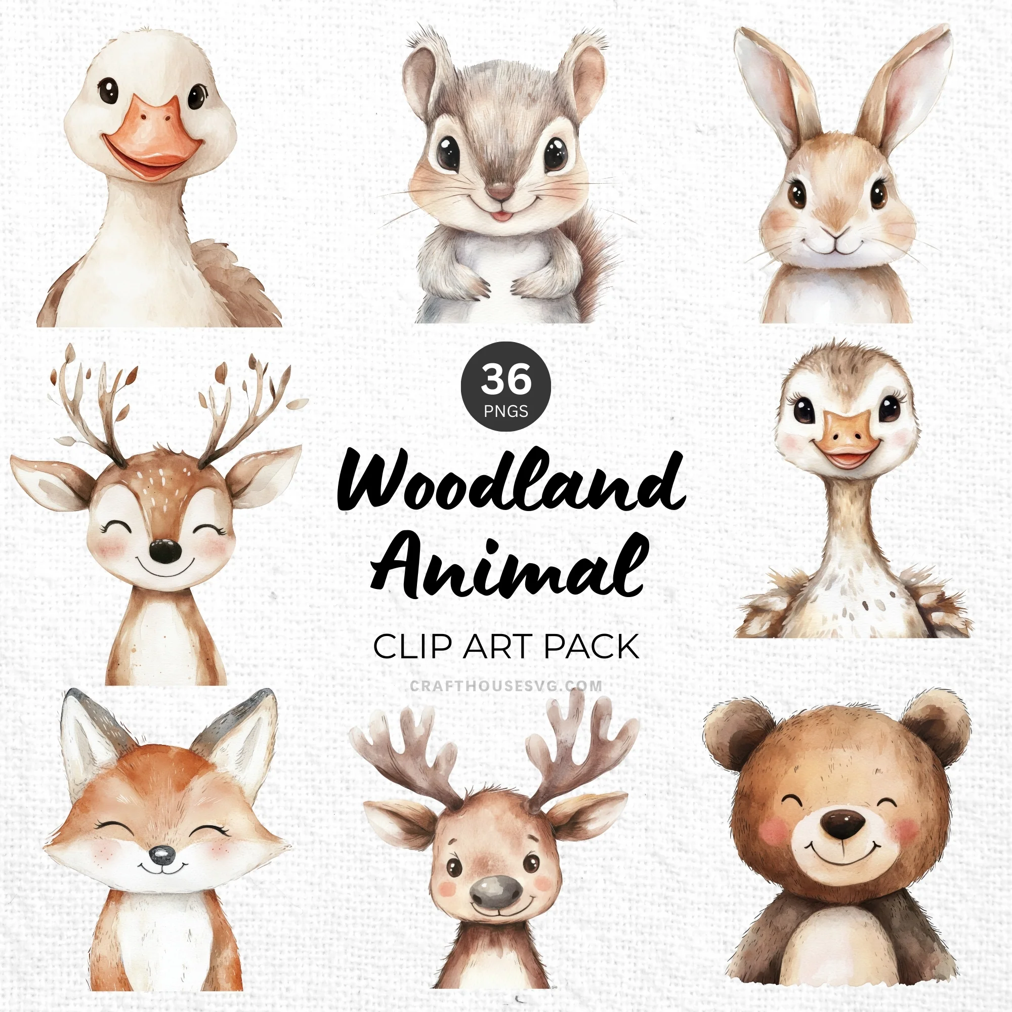Woodland Animal Portrait Clipart Pack Sublimation Bundle PNG